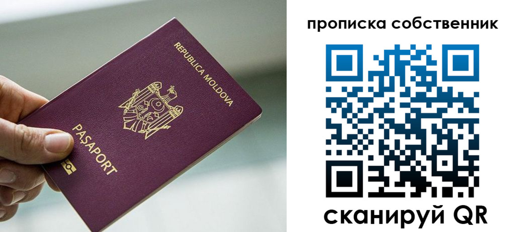 прописка паспорт в Кораблино
